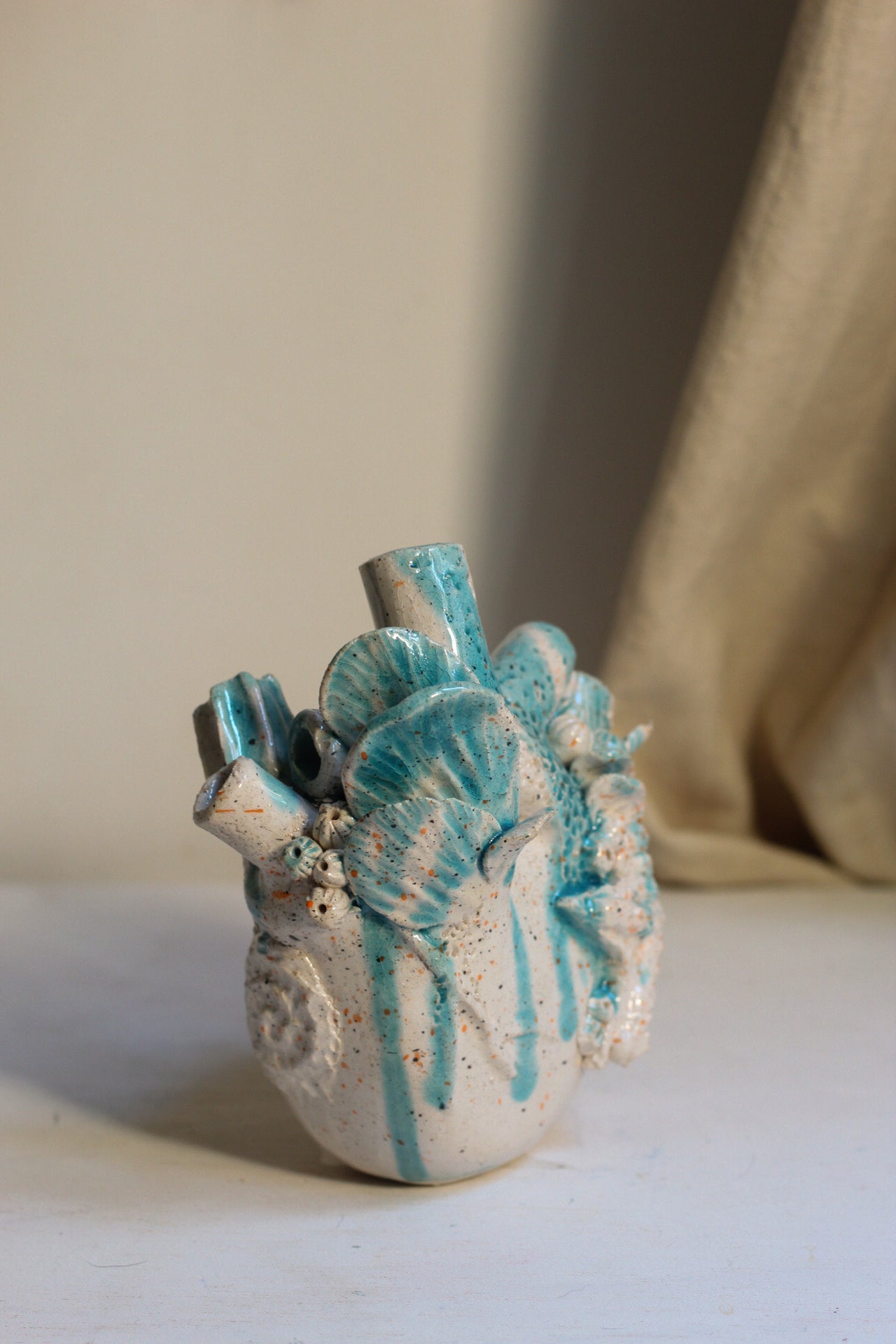 Corazón raro marino