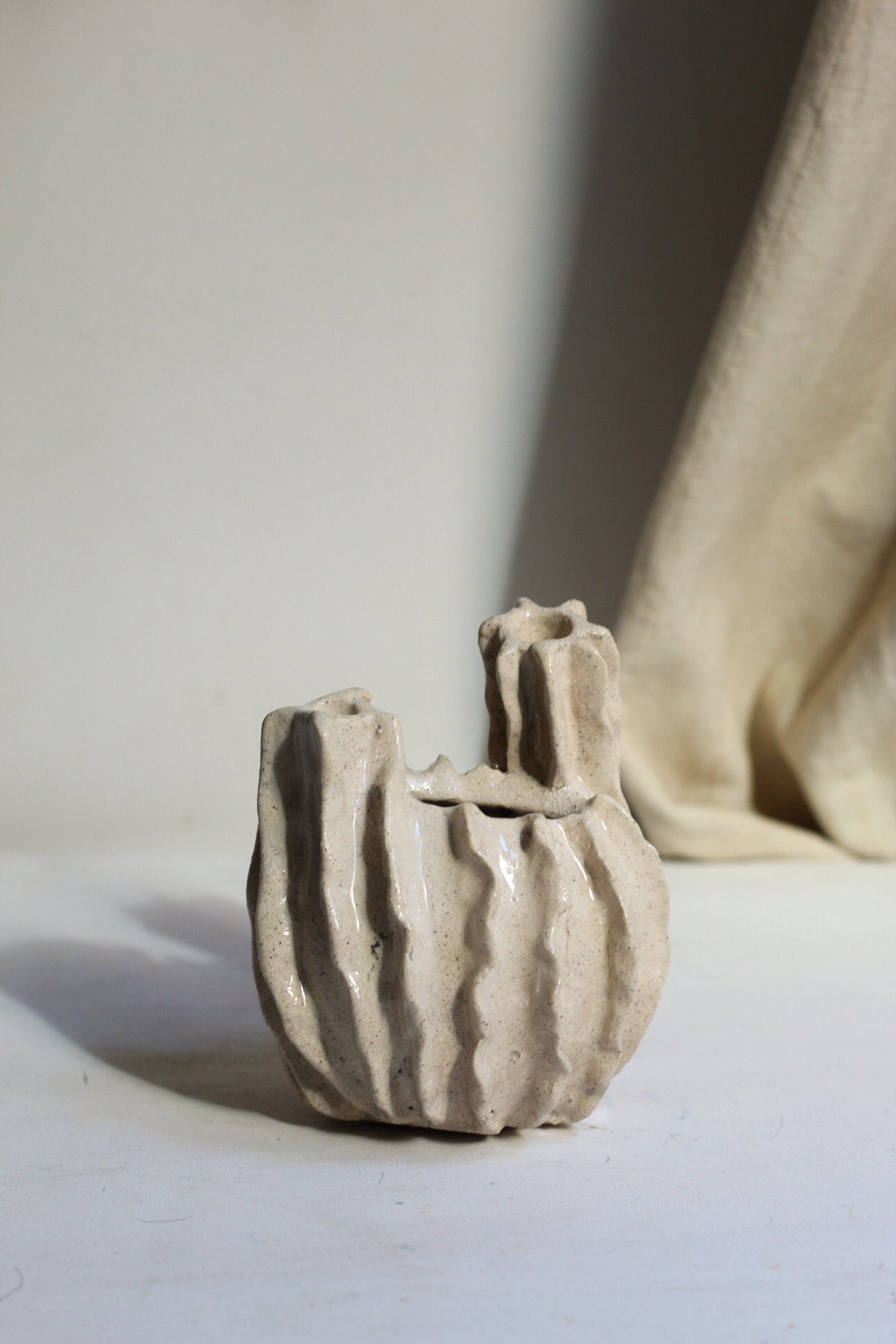 Corazón raro marino