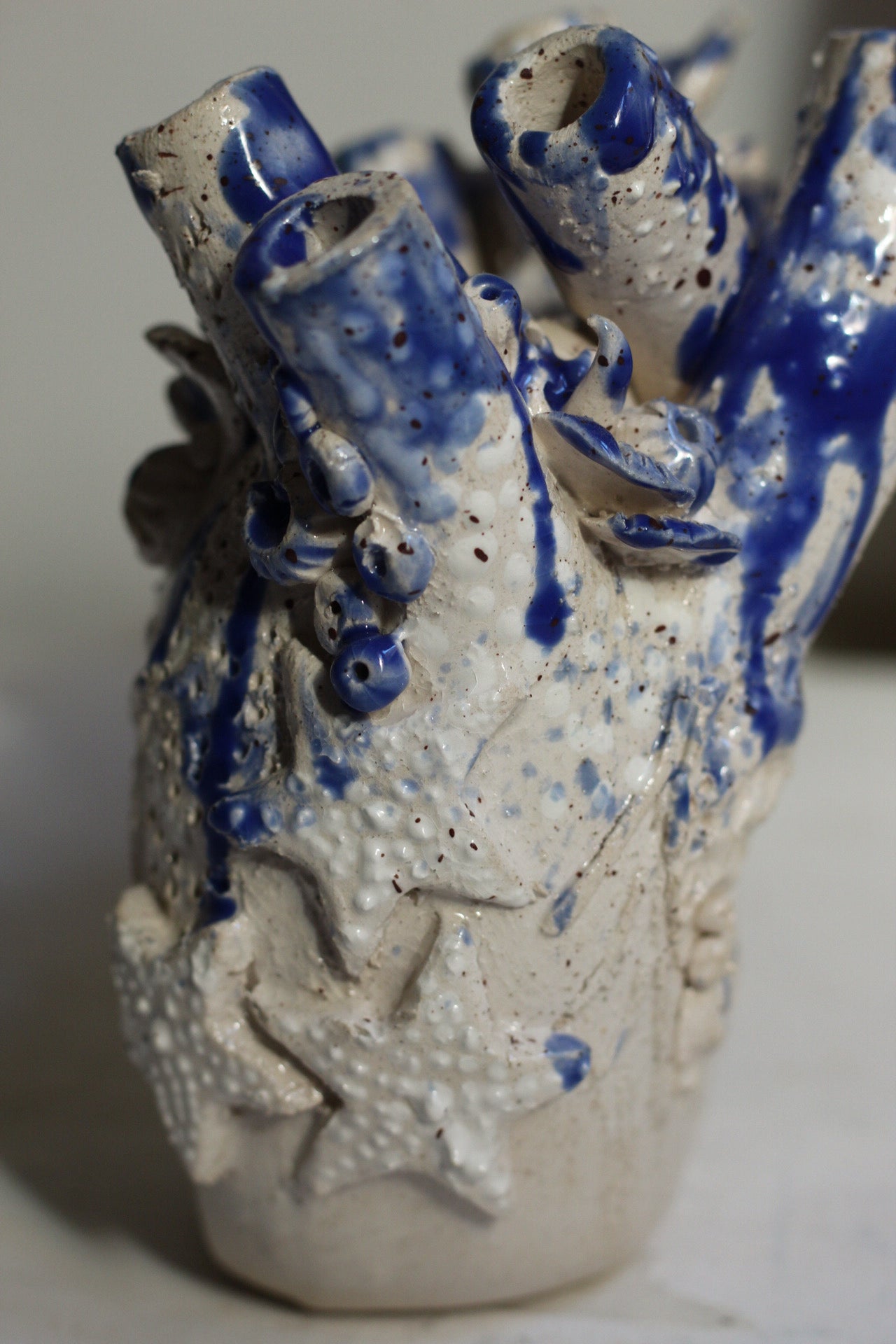 Corazón raro marino