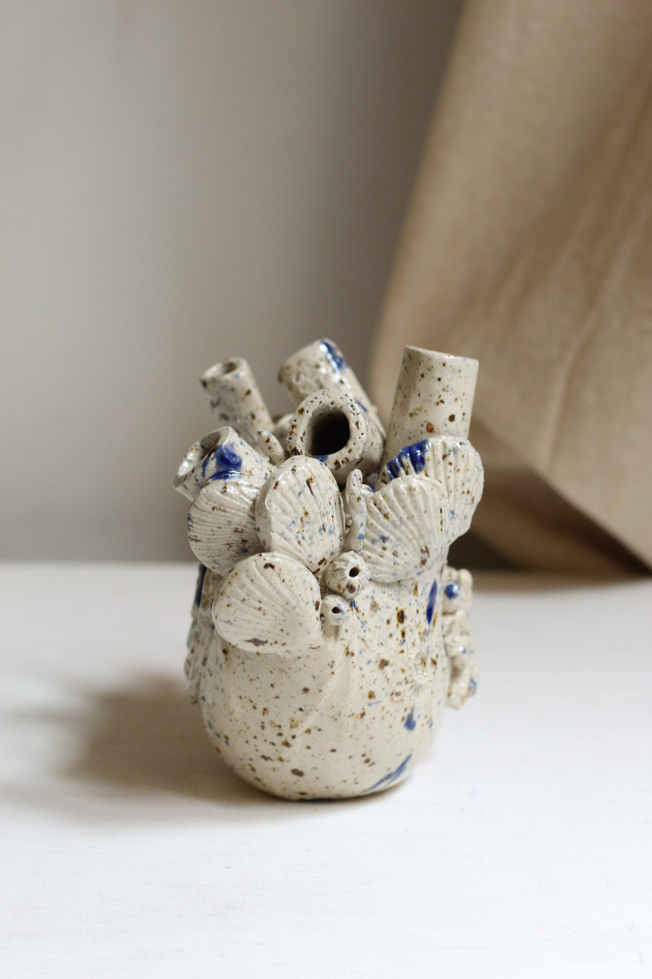 Corazón raro marino