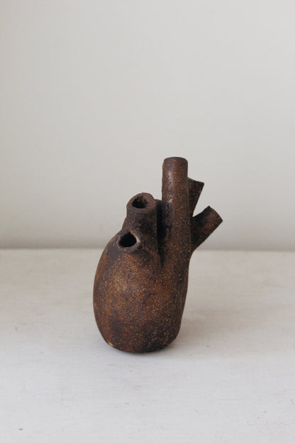 Corazón raro