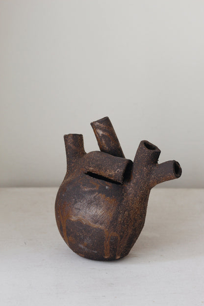 Corazón raro